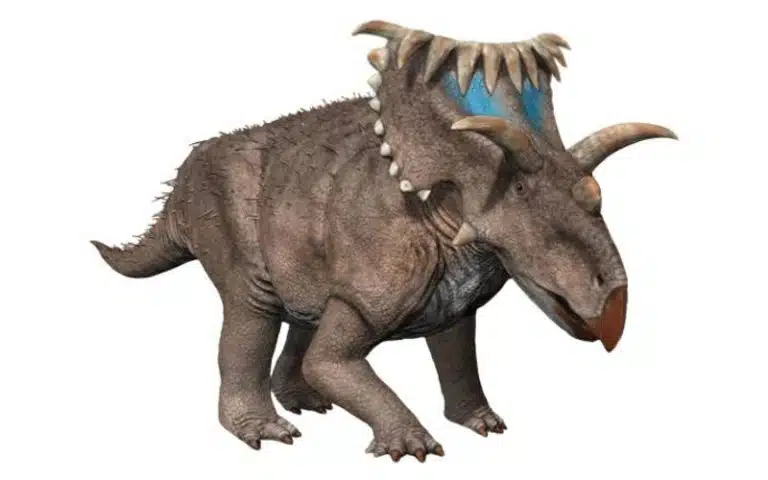 Discover Kosmoceratops, a horned dinosaur from Utah with the most ornate skull of any known species from the Late Cretaceous.