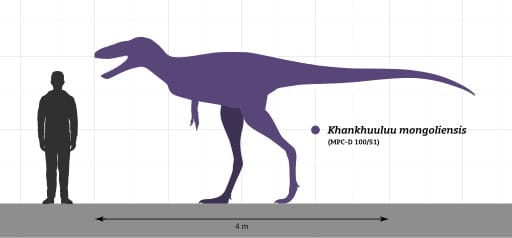 Meet Khankhuuluu, the swift mid-sized tyrannosauroid from Late Cretaceous Mongolia, known as the Dragon Prince of the dinosaur world.