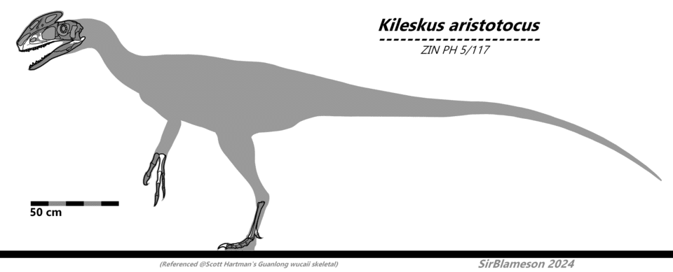 Rigorous skeletal of Kileskus aristotocus with known material in white.