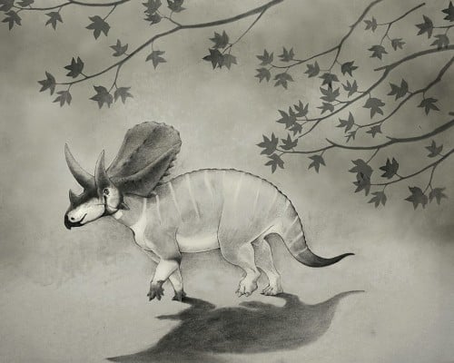 Judiceratops tigris by Nick Longrich