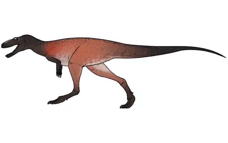 Life reconstruction of Khankhuuluu mongoliensis