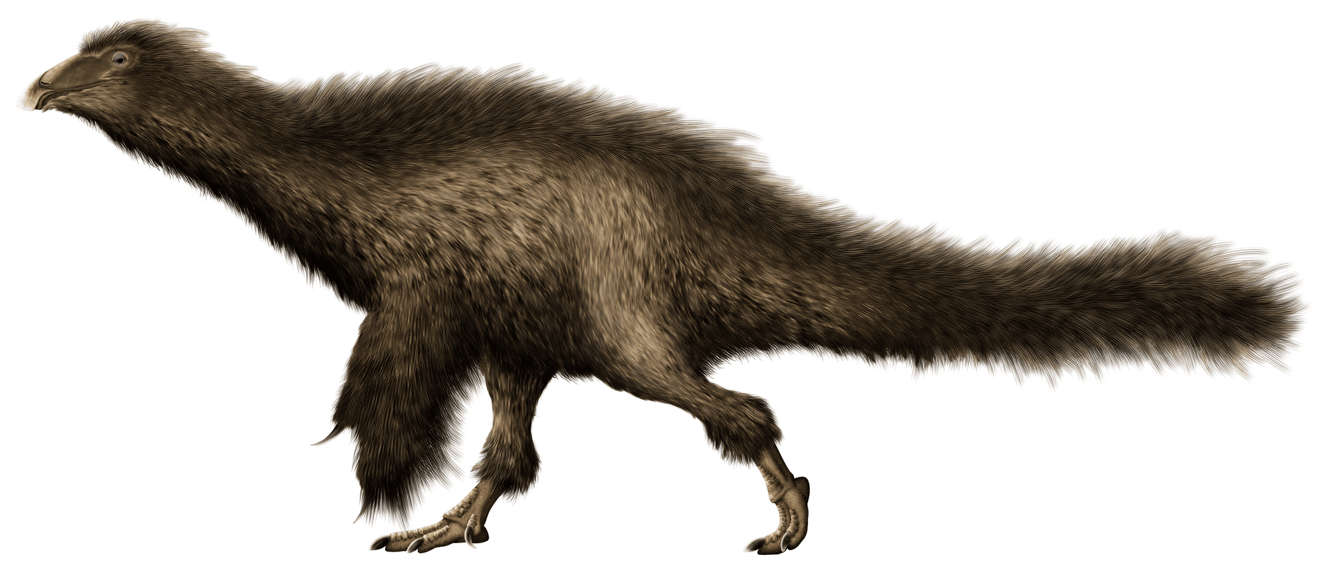 Not Kayrasaurus: a life restoration of its smaller Jehol relative Beipiaosaurus inexpectus, shown here for comparison