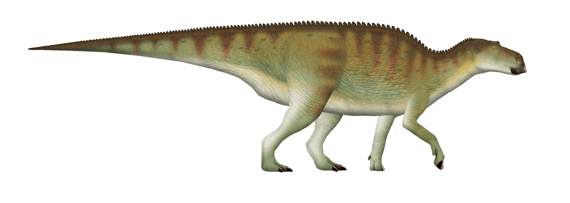 Life restoration of Maiasaura peeblesorum