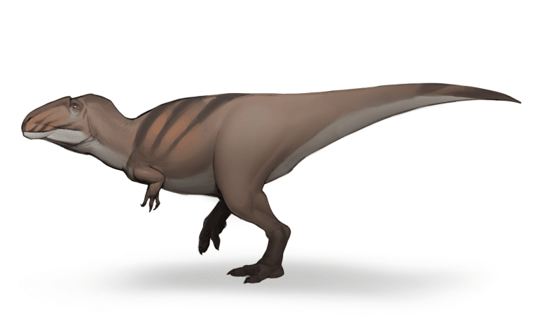 Life reconstruction of Mapusaurus roseae