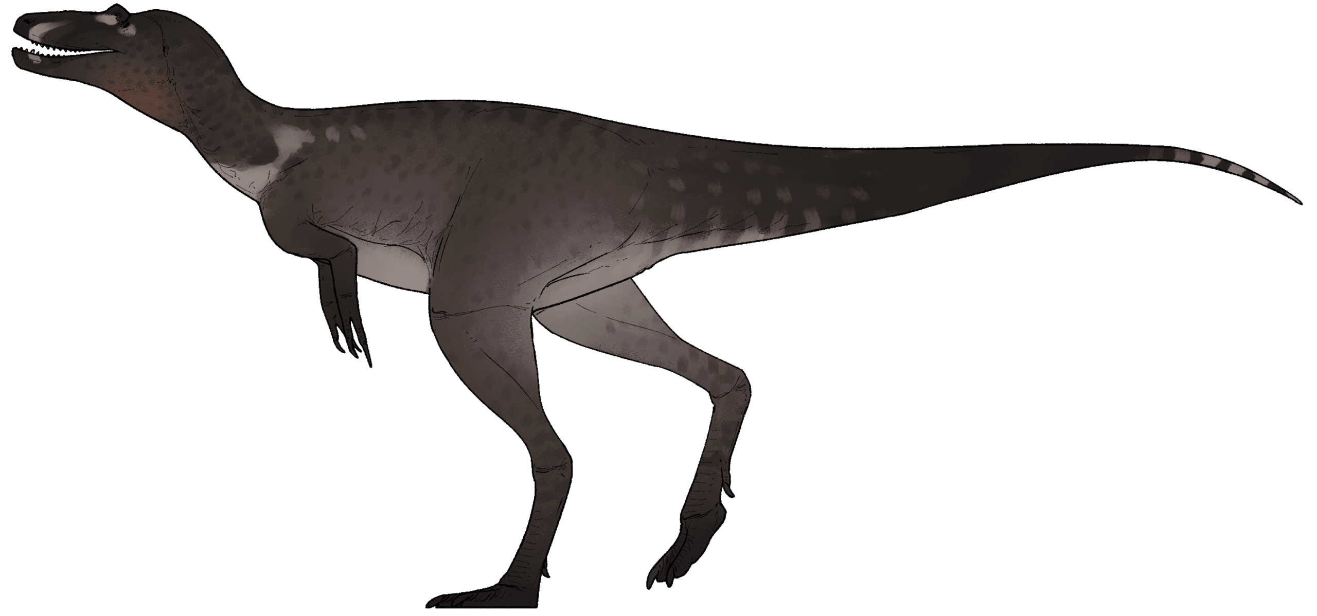 Artist's life reconstruction of Nanotyrannus lethaeus, a species named in 2025 whose validity is disputed