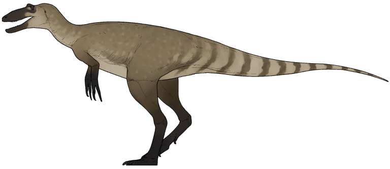 Life reconstruction of Nanotyrannus