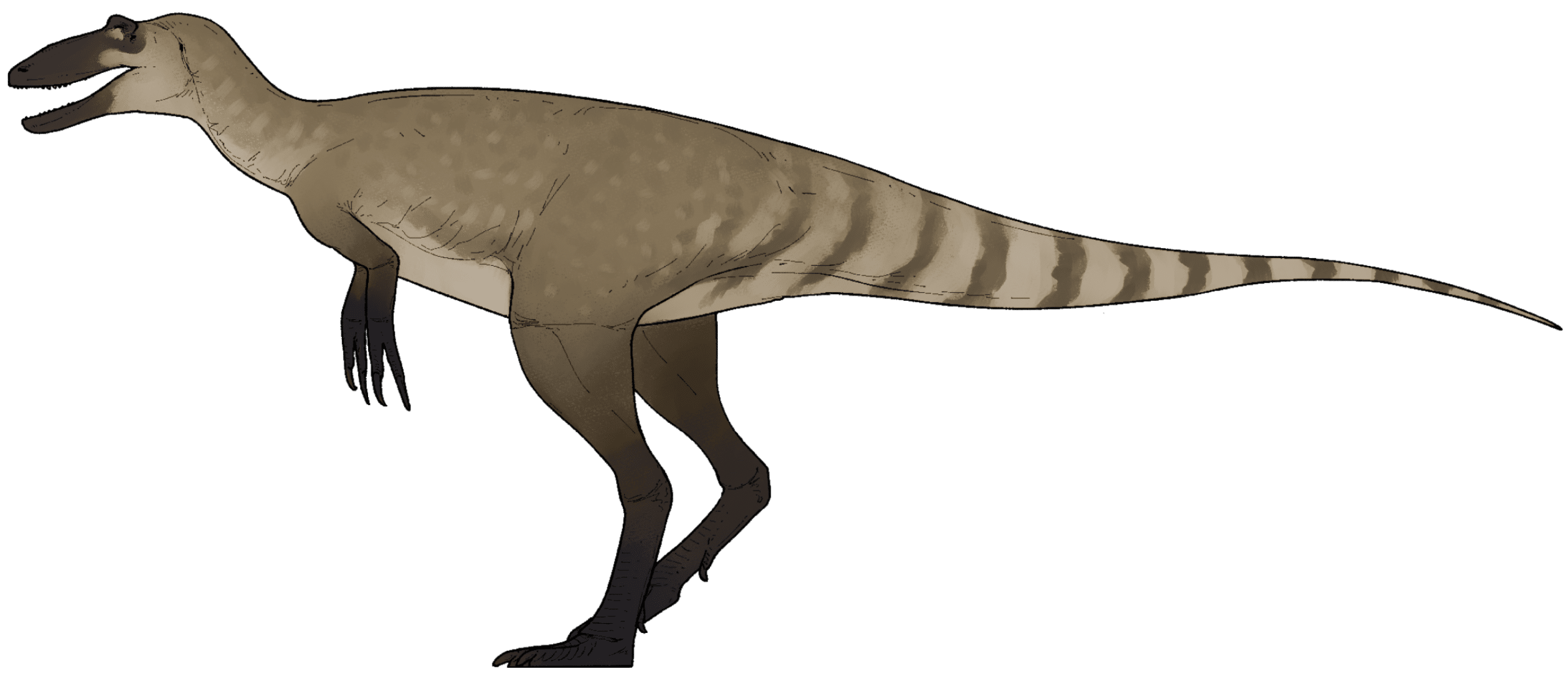 Life reconstruction of Nanotyrannus