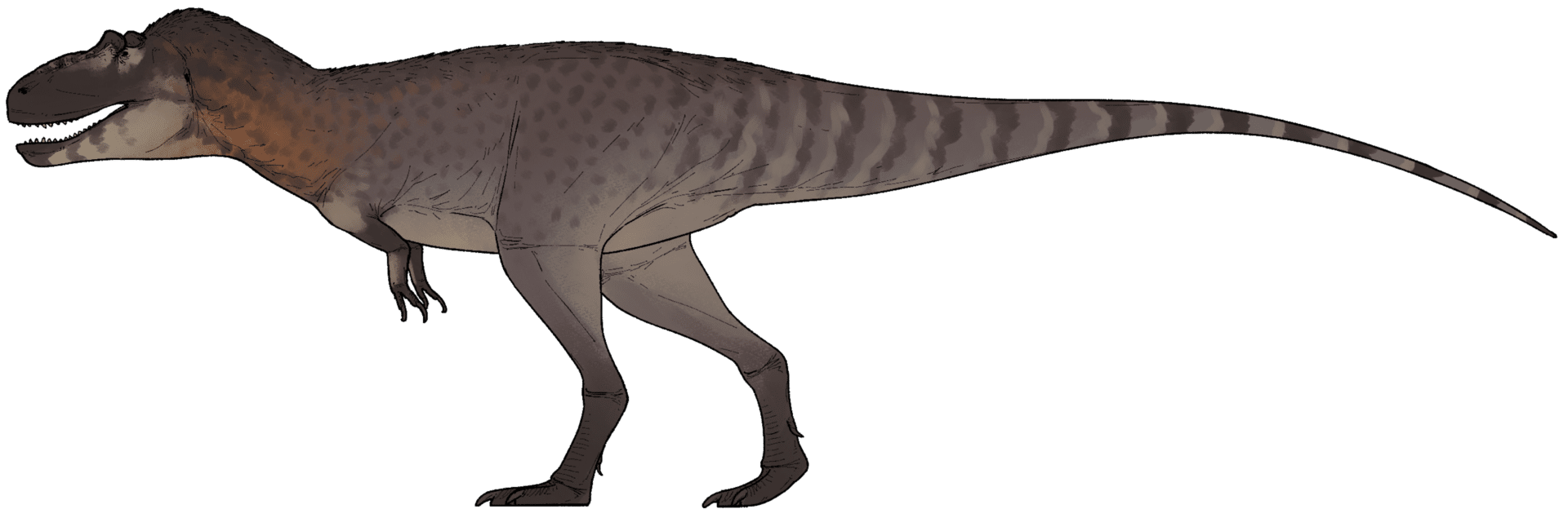 Life reconstruction of Nanuqsaurus hoglundi