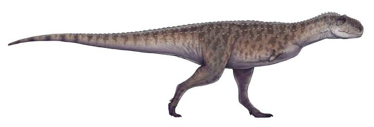 Life restoration of Rajasaurus narmadensis