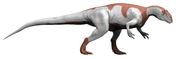 Life reconstruction of Yangchuanosaurus shangyouensis walking on two legs