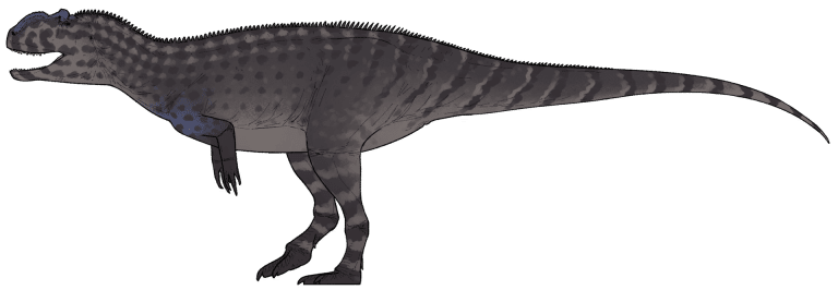 Life reconstruction of Yangchuanosaurus shangyouensis