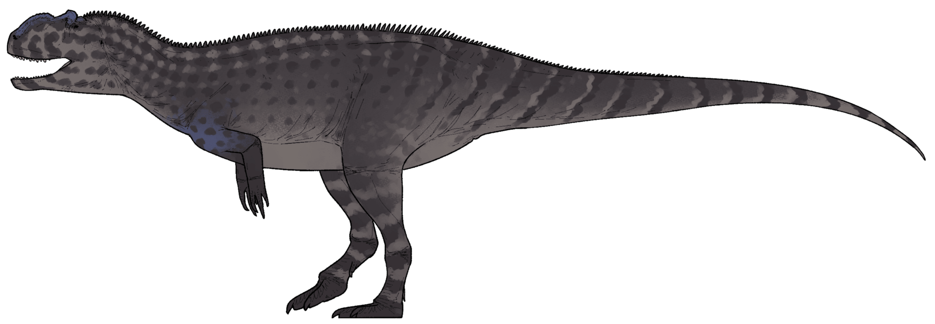 Life reconstruction of Yangchuanosaurus shangyouensis