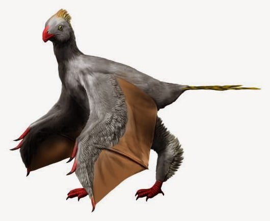 Life restoration of Yi qi