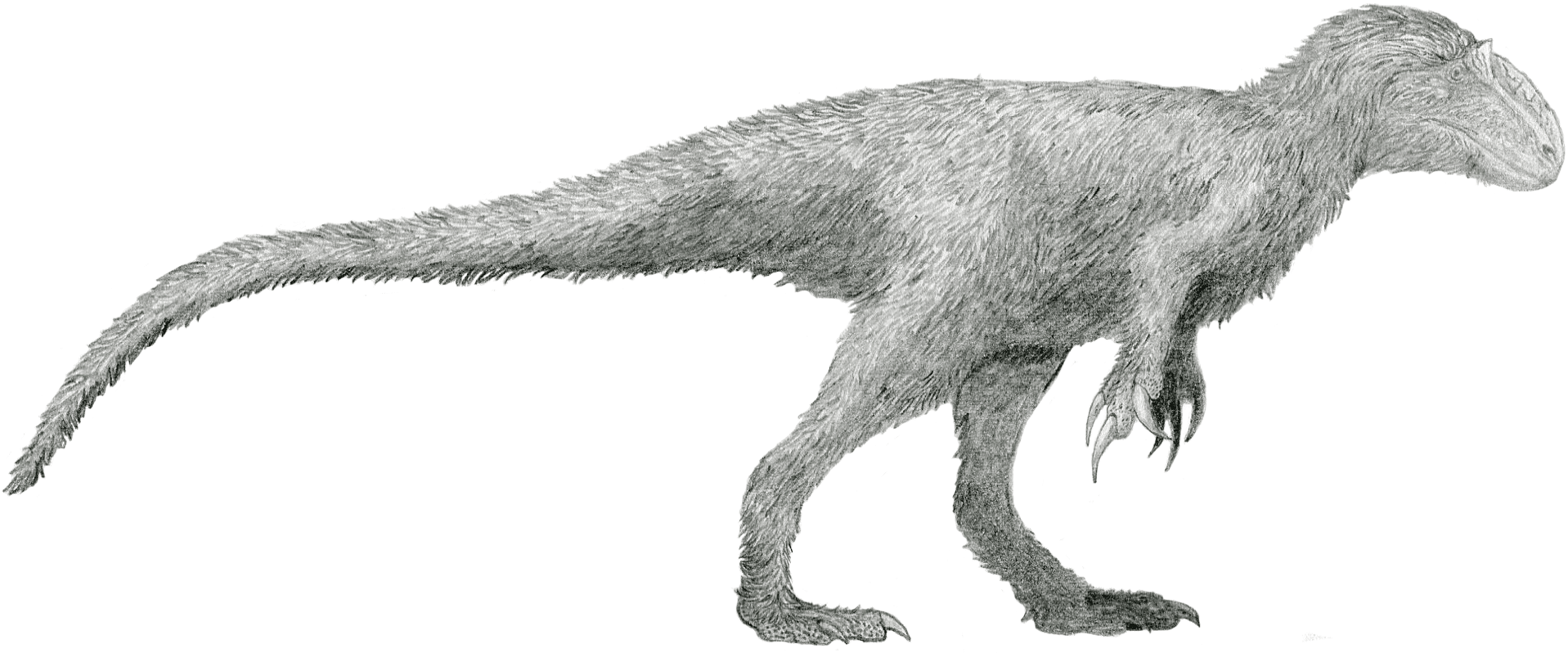 Life restoration of Yutyrannus huali